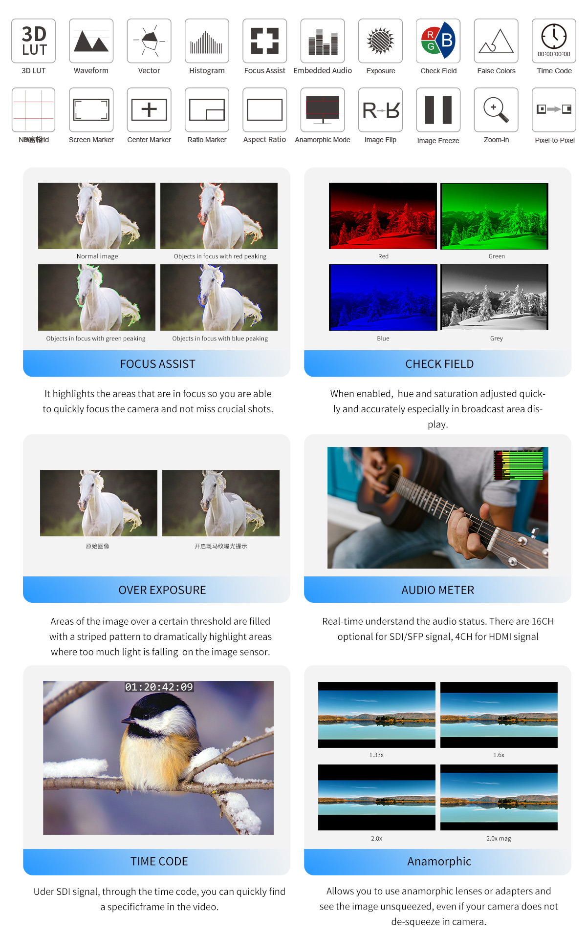 multiple camera assist monitor